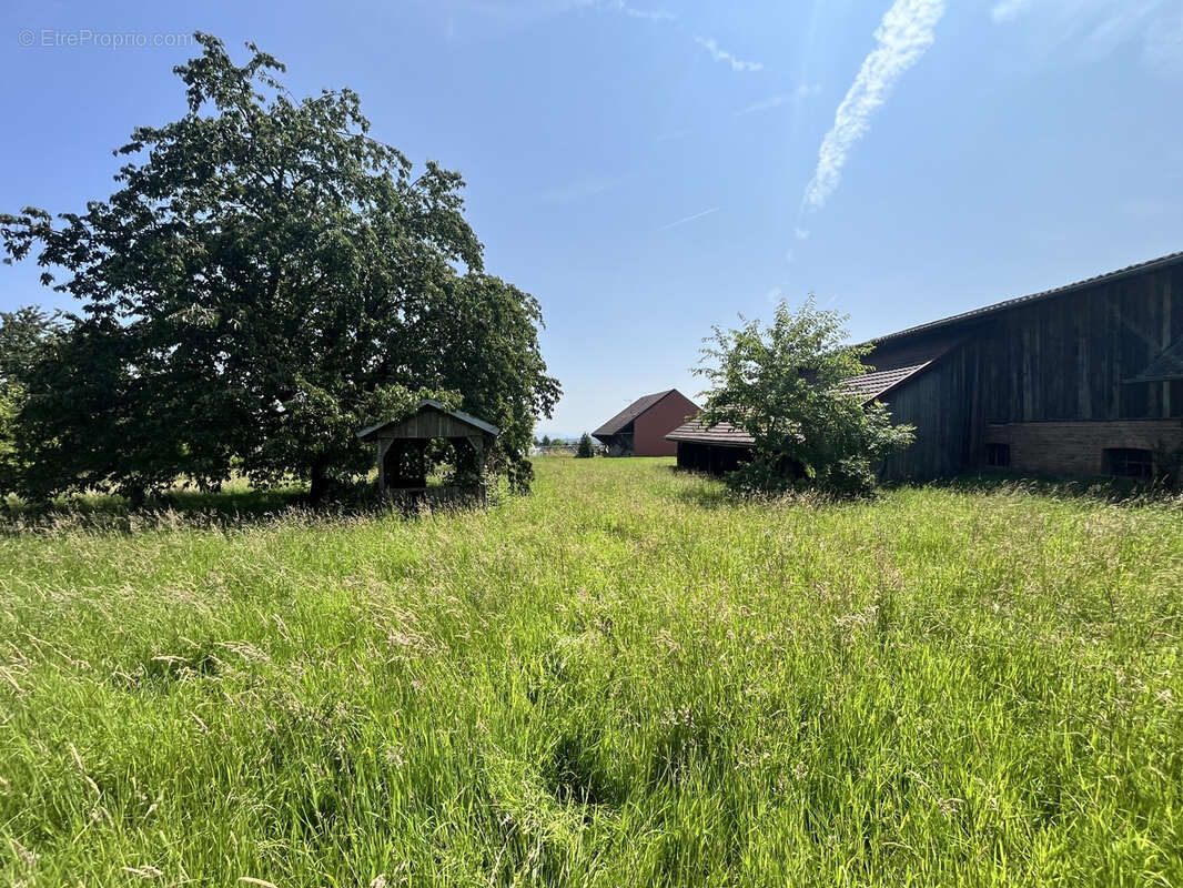 Folgensbourg au calme terrain constructible de 14,80 ares - photo 4