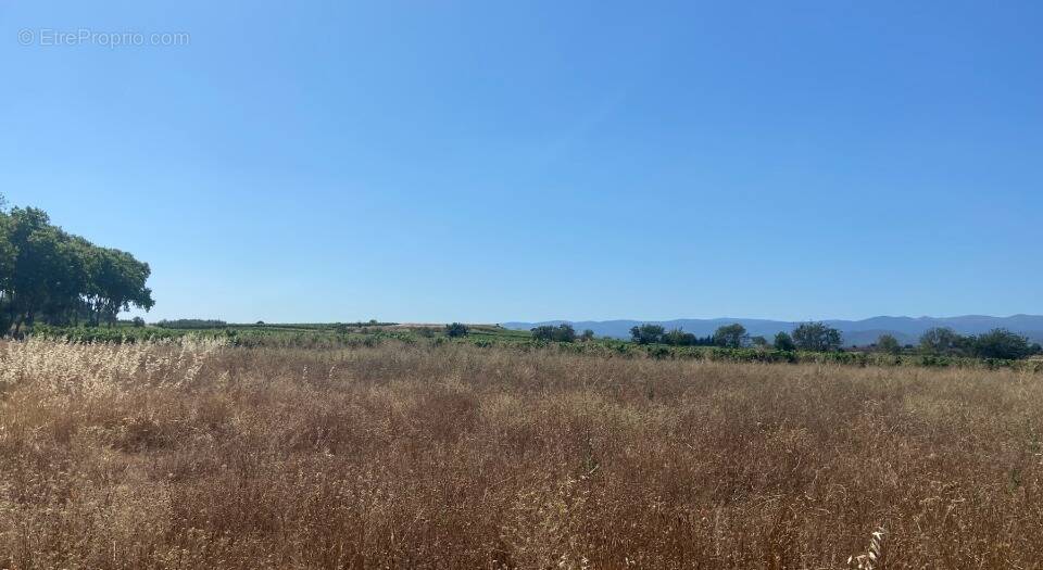 Terrain à OLONZAC