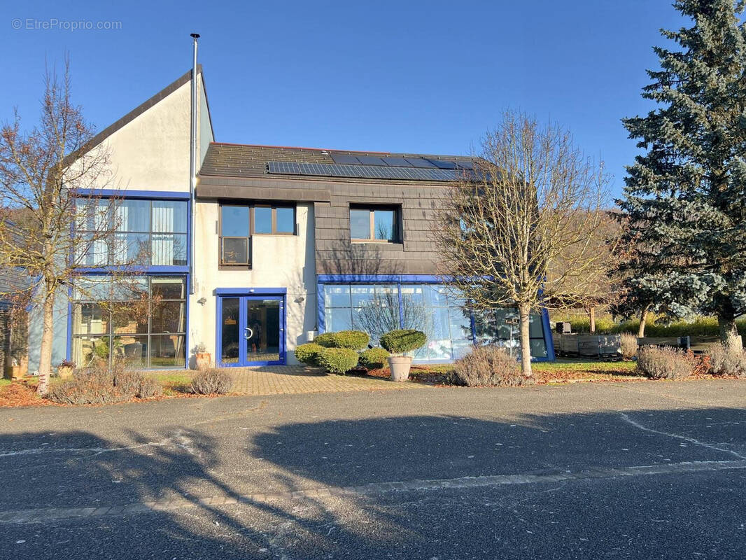 Appartement à SENTHEIM