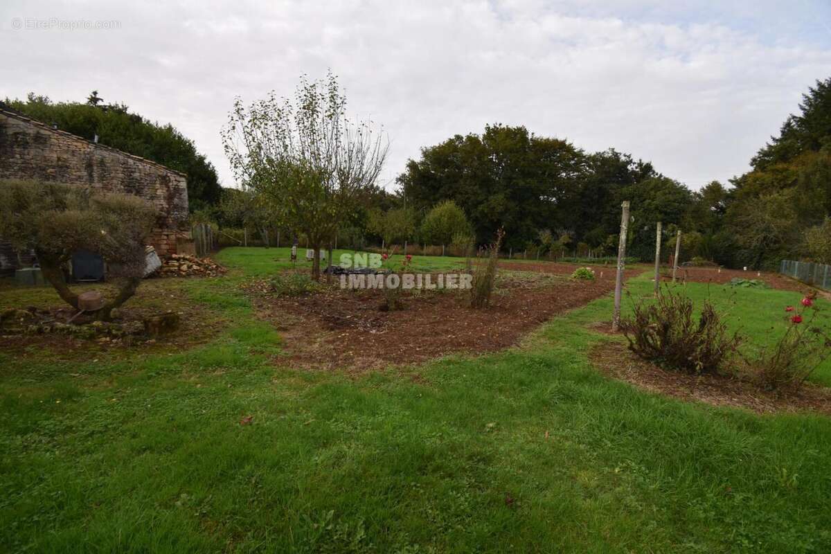 DSC_0074 - Maison à LA FORET-DE-TESSE