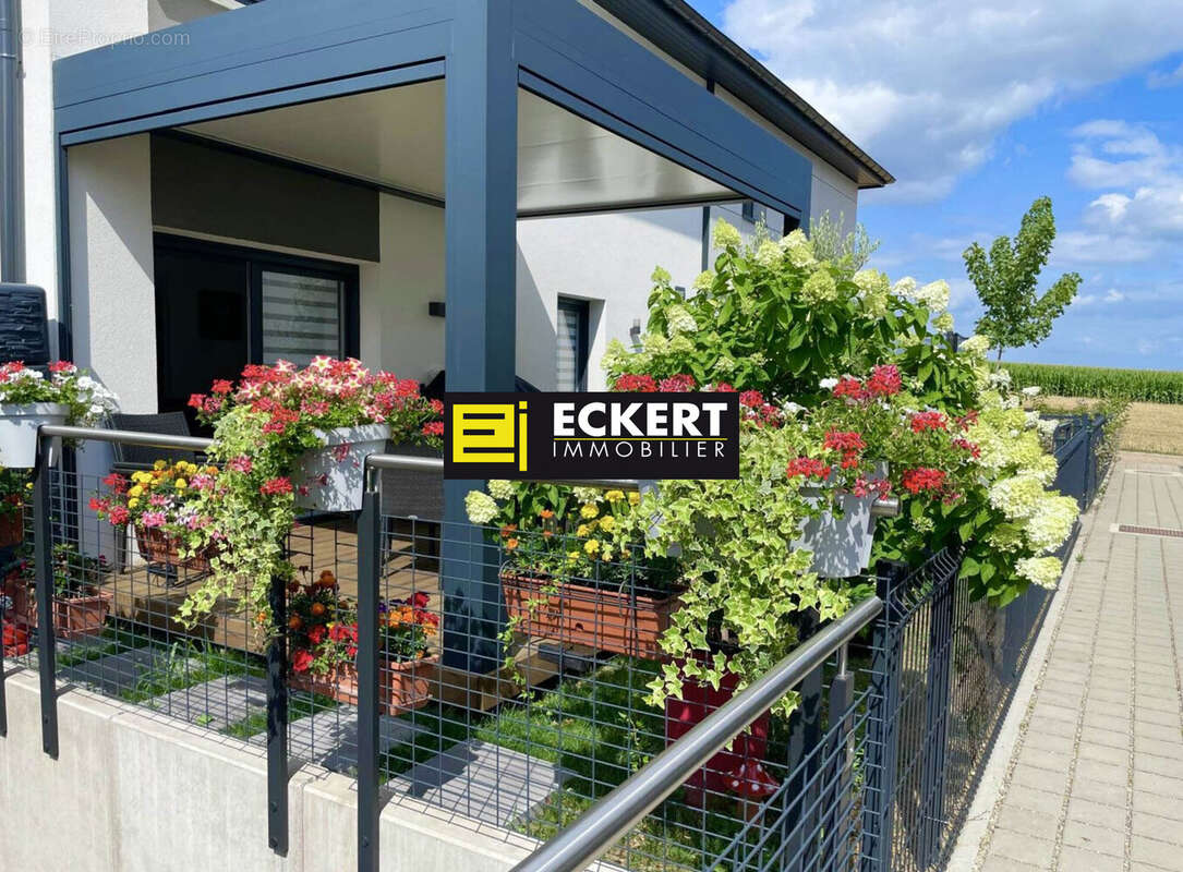 Appartement à GRIESHEIM-PRES-MOLSHEIM