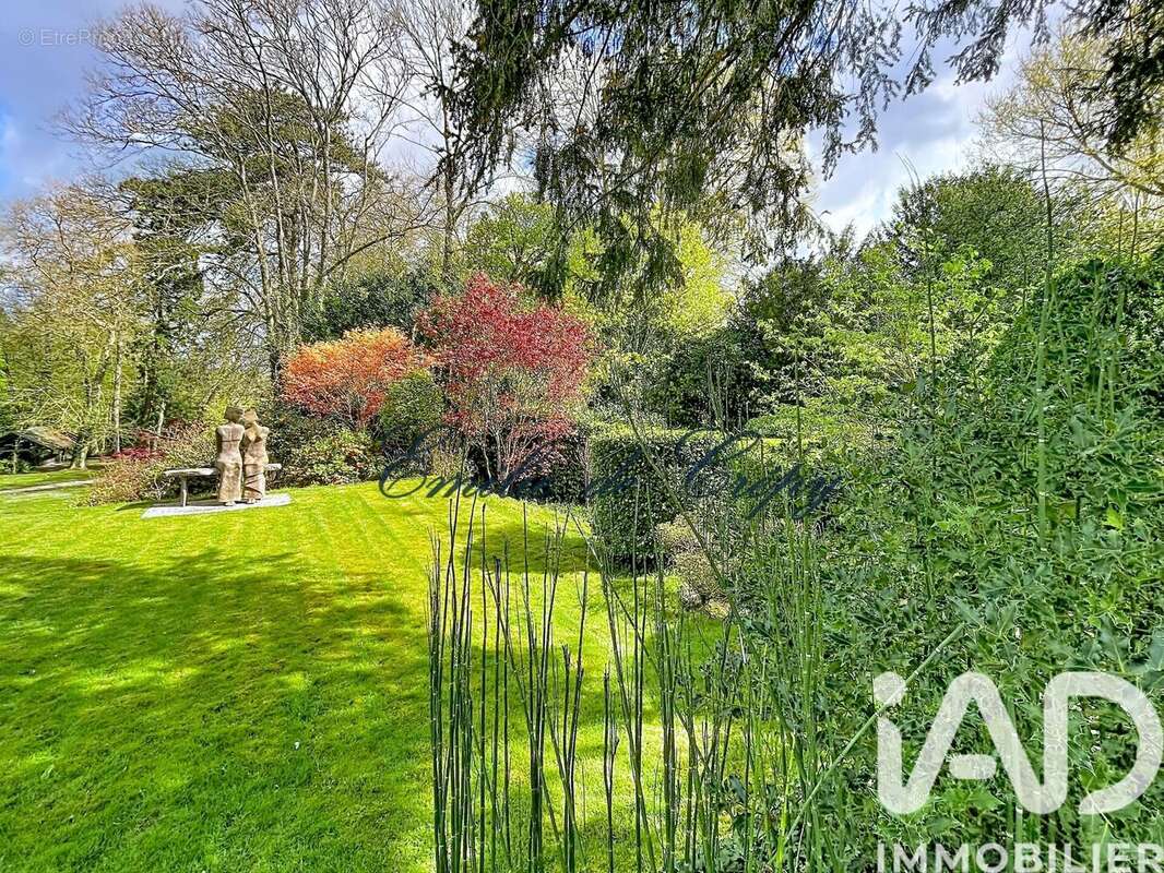 Photo 4 - Maison à OLIVET