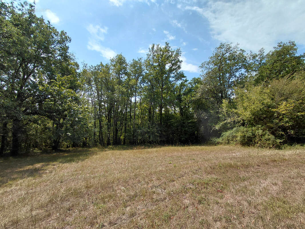 Propriété en pierre sur 3,5 hectares de terrain boisé en Périgord Vert - photo 27