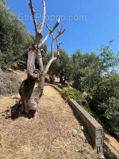 Terrain à MENTON
