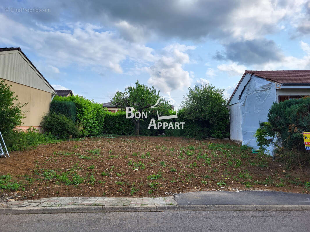 Terrain à SAINTE-MARIE-AUX-CHENES