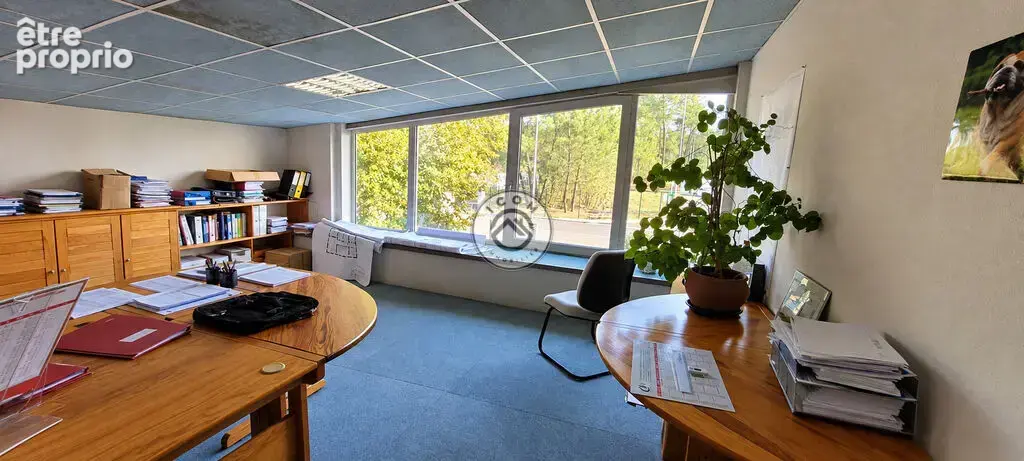 Mont de Marsan   430 m² de locaux  professionnels bureaux + 2 h - photo 5