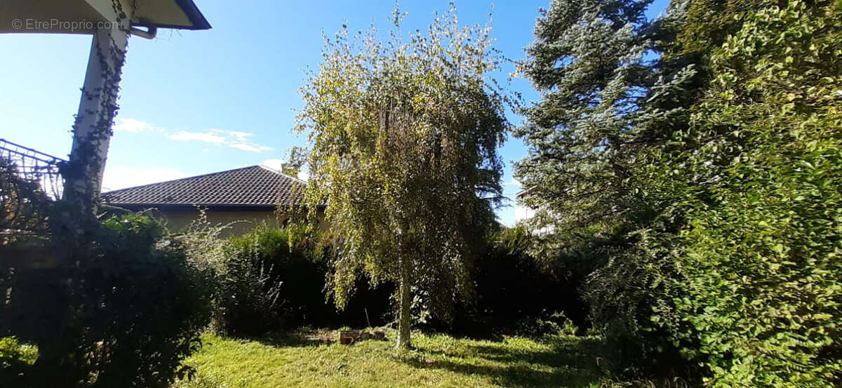 Maison à THIONVILLE