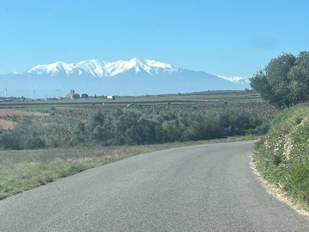 Photo 1 - Terrain à BAIXAS