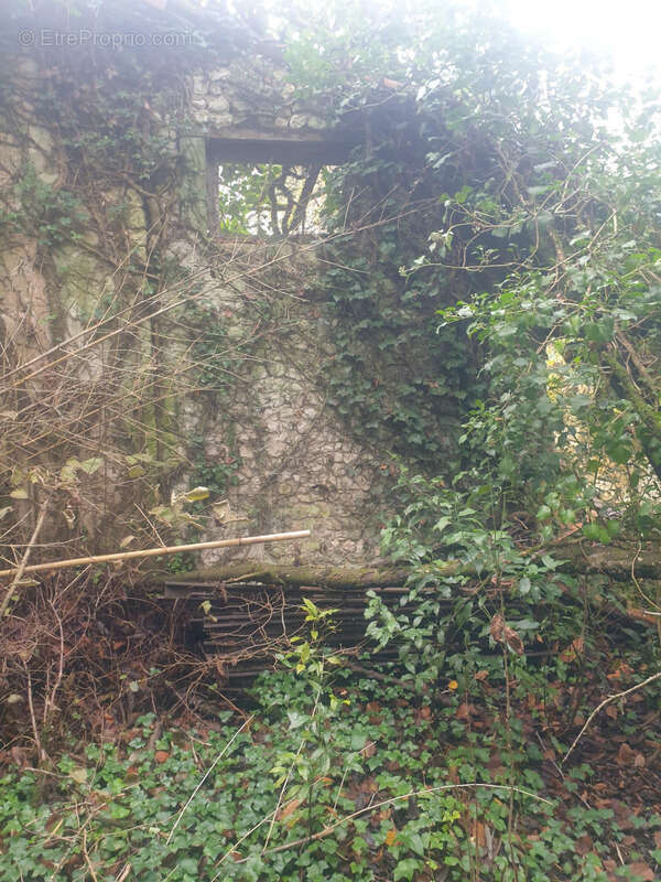 Maison à SAINT-BONNET