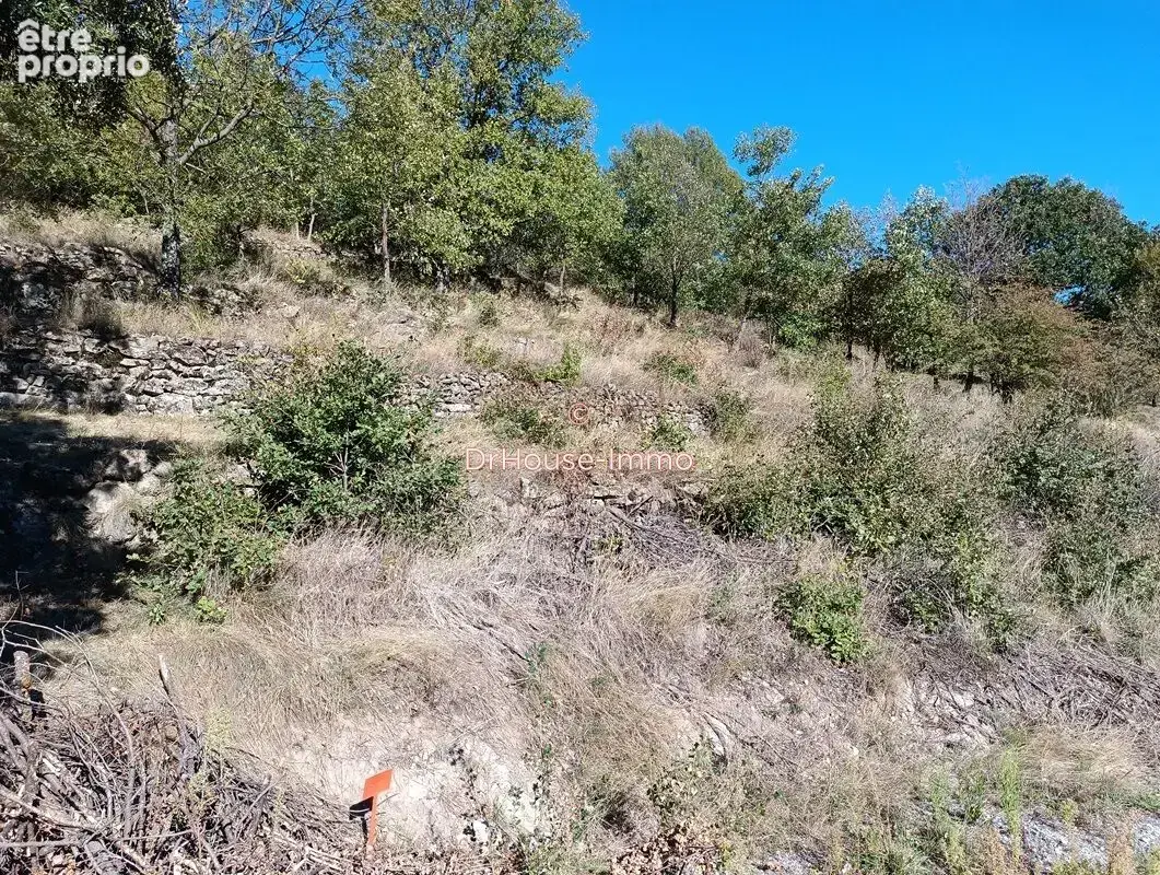 Terrain 1 352 m² à vendre à La Souche (07380) - photo 4