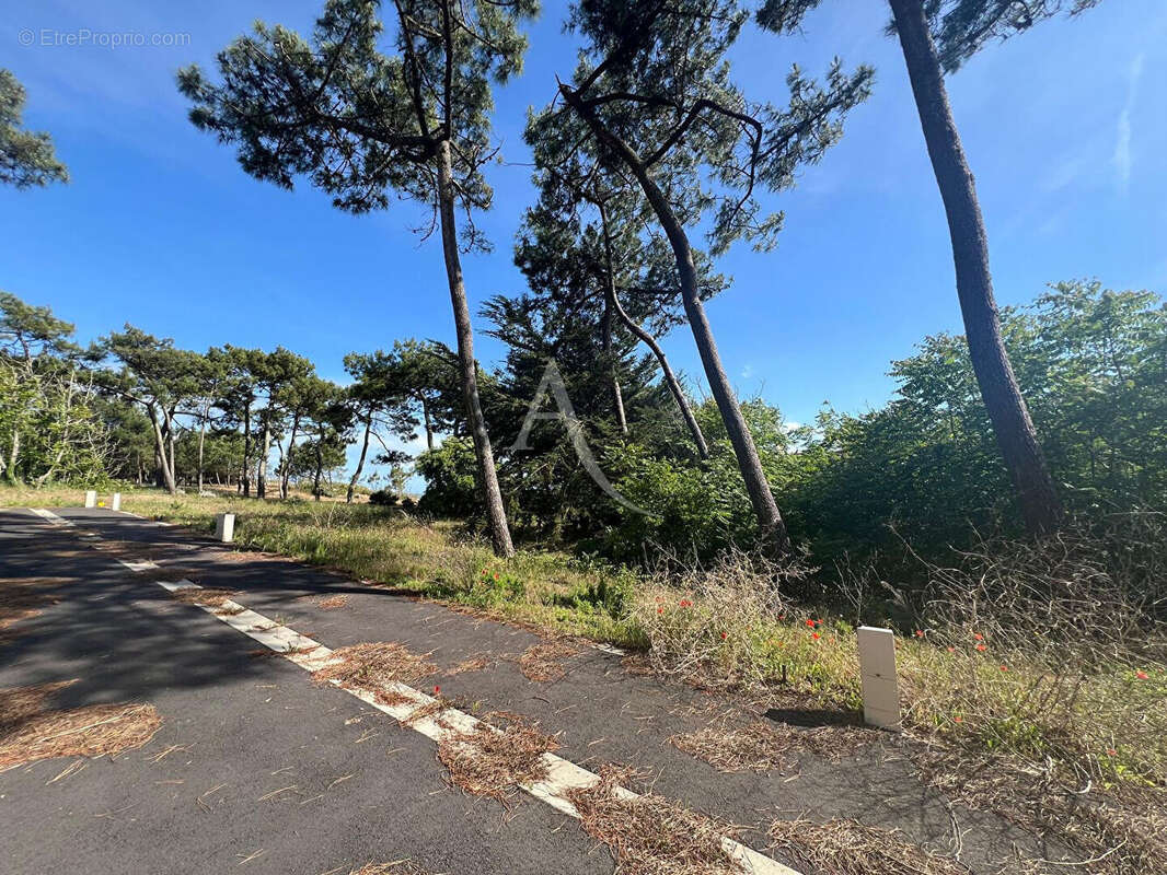 Terrain à LA TRANCHE-SUR-MER