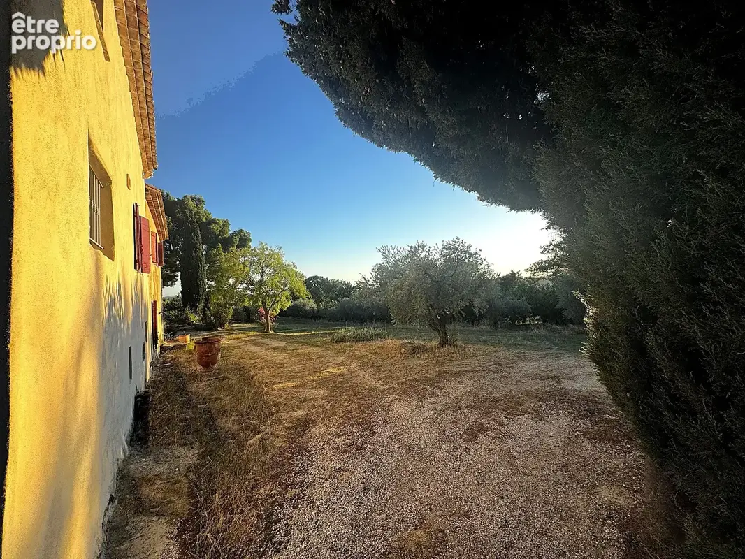 Demeure oliviers verger et vignes - photo 8