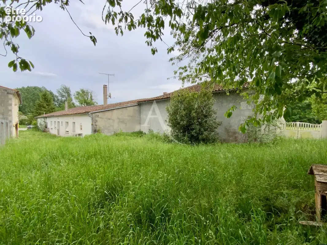 Maison Salles D'Angles 4 chambres 1400 m2 - photo 4