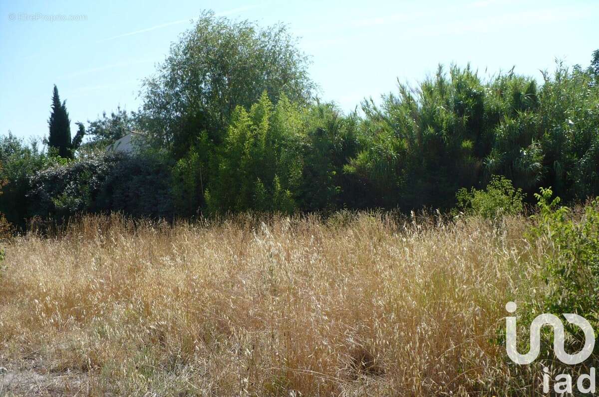 Photo 3 - Terrain à MANOSQUE