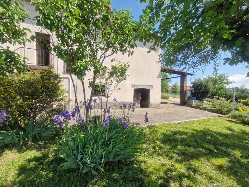 Maison à UNIEUX