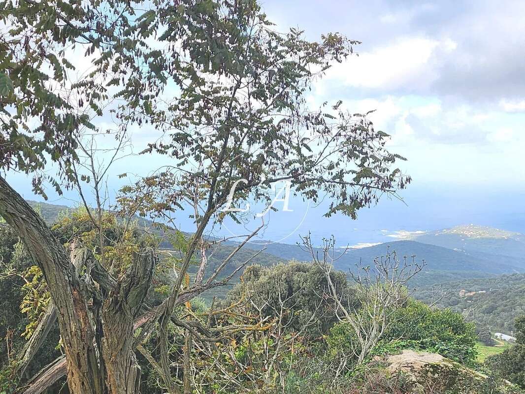 Terrain à COTI-CHIAVARI