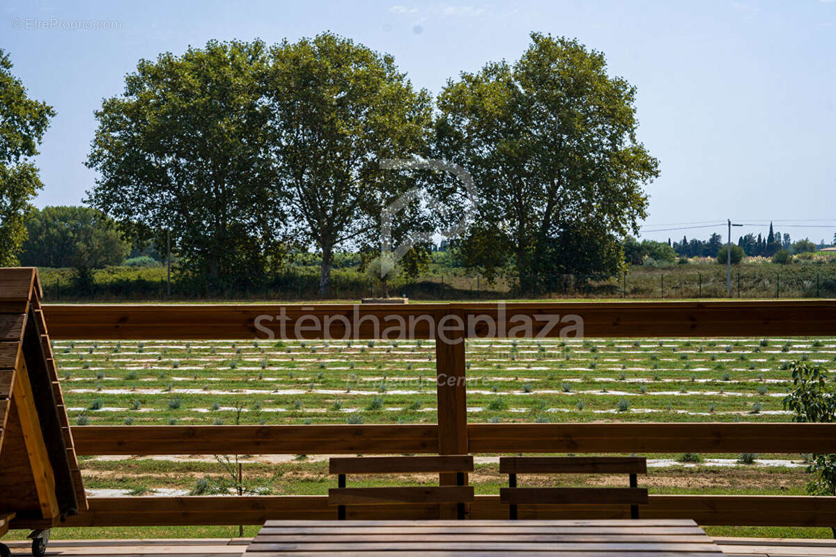 Propriété agricole de 19000m2 sur Saint Cyprien - photo 9