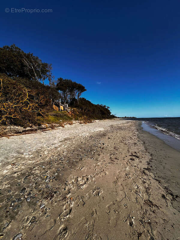 Terrain à POGGIO-MEZZANA