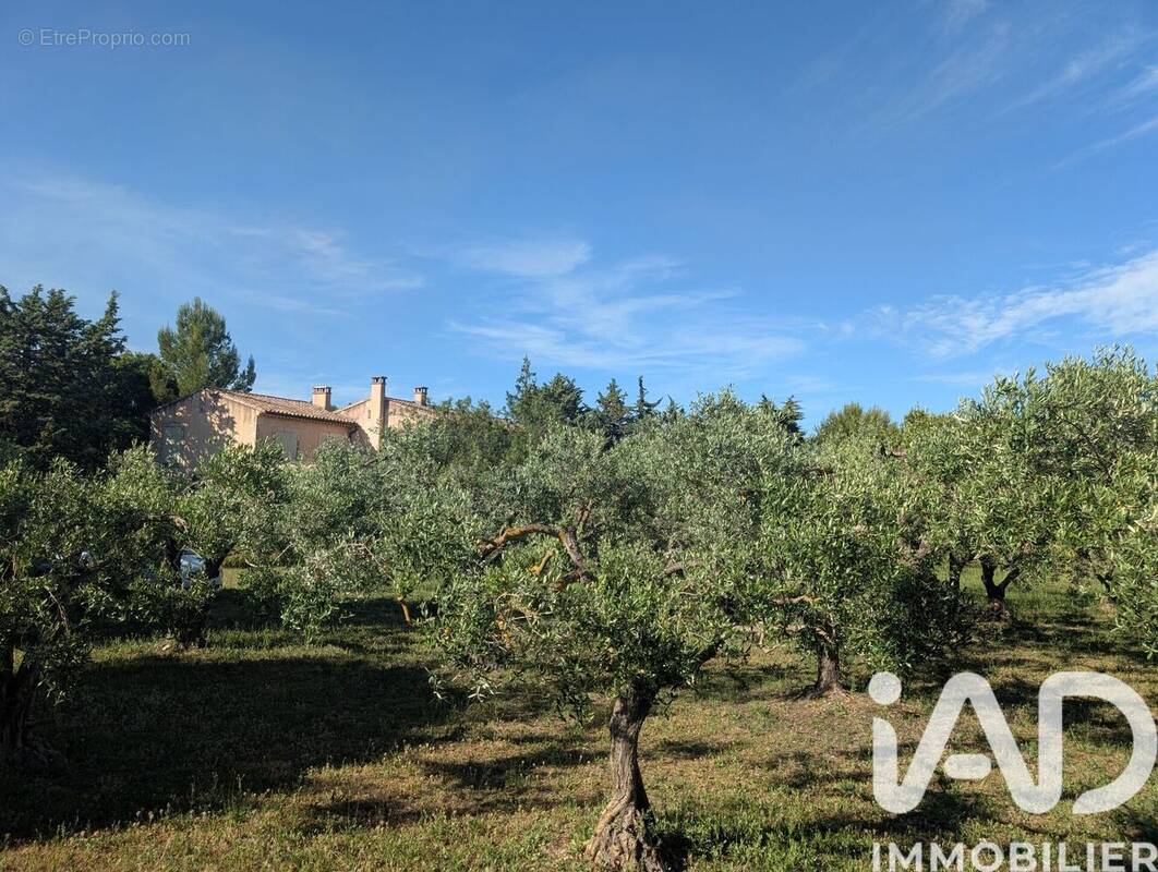 Photo 1 - Maison à SAINT-REMY-DE-PROVENCE