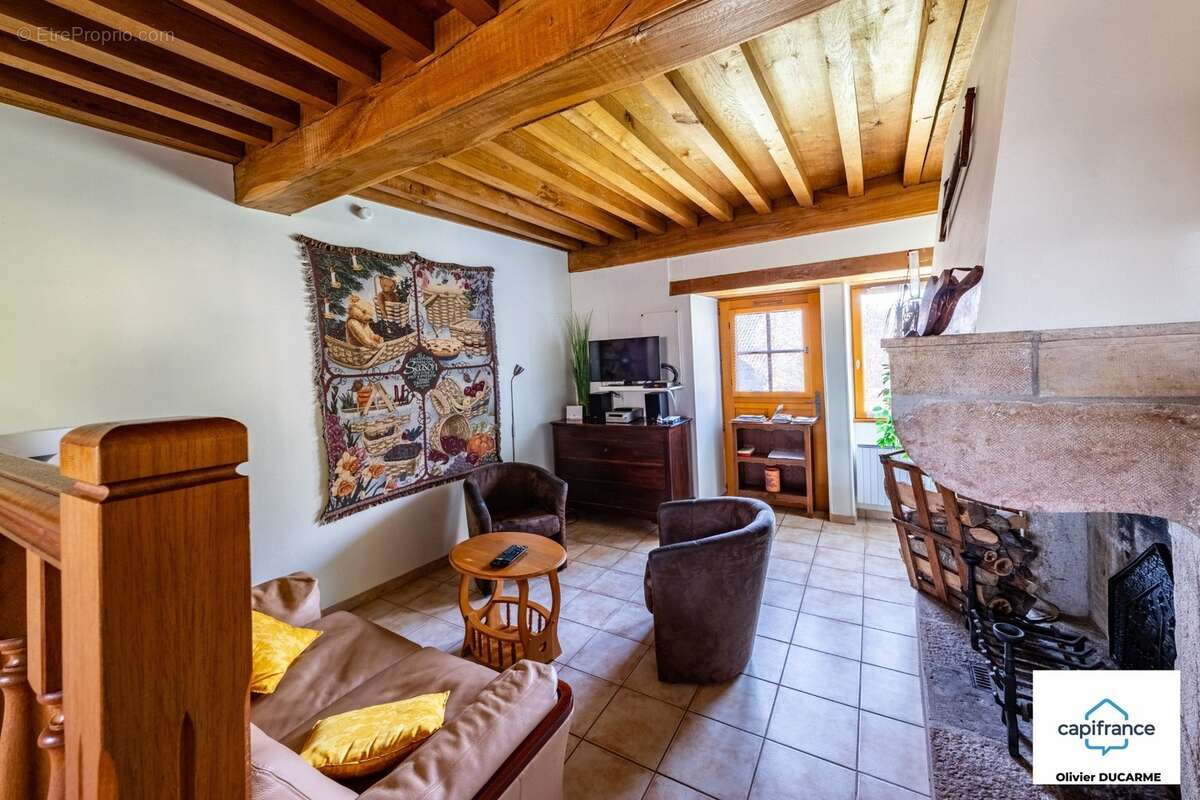 Murs et fonds : gite, chambres d'hôtes et table d'hôtes à vendre CHAUDENAY LE CHATEAU (21) - photo 27