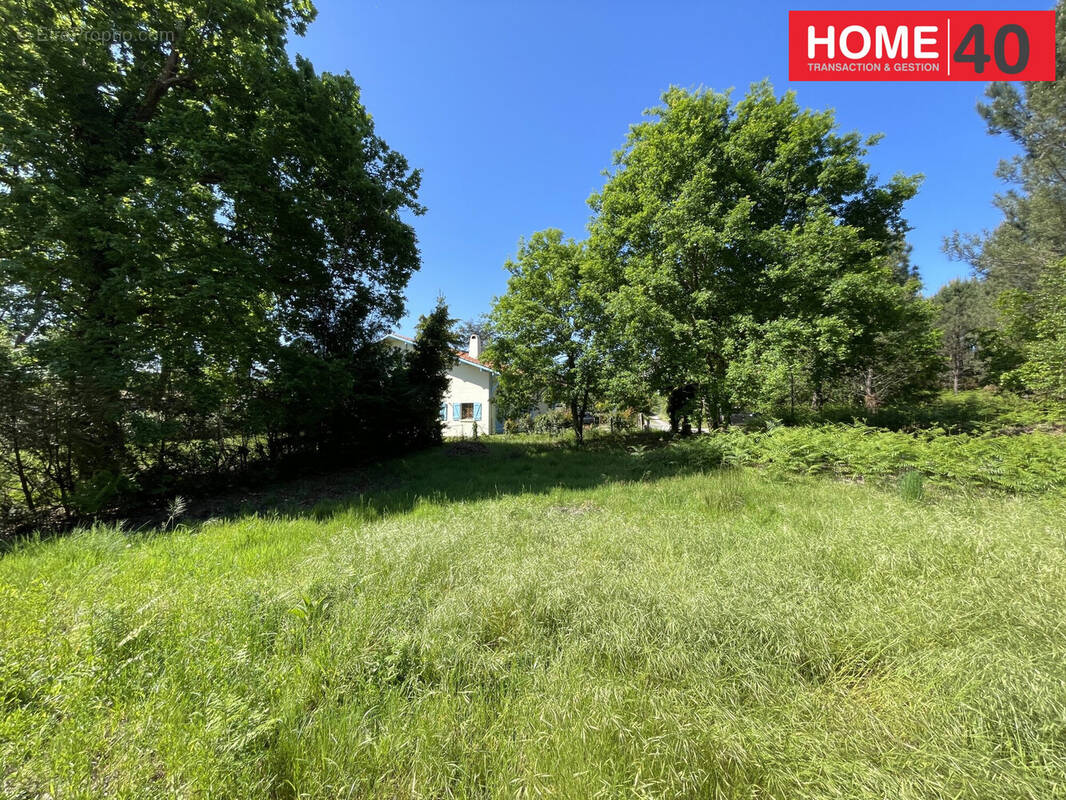 Terrain à SANGUINET