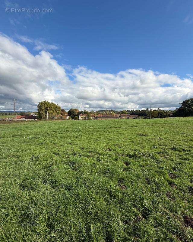 Terrain à AMEUGNY