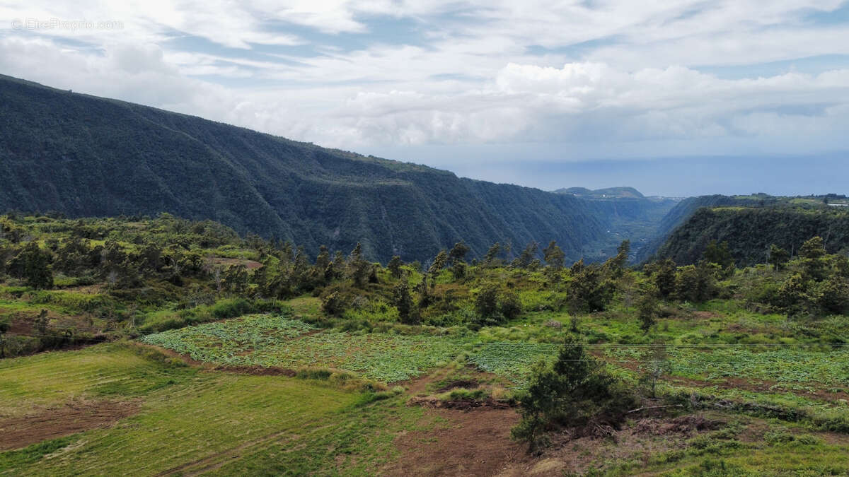 Maison à SAINT-JOSEPH