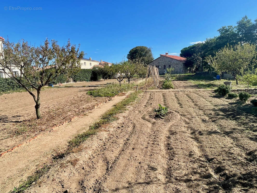 Sorède - terrain constructible de plus de 1 140 m2,  vue panoramique sur le massif des albères - photo 2