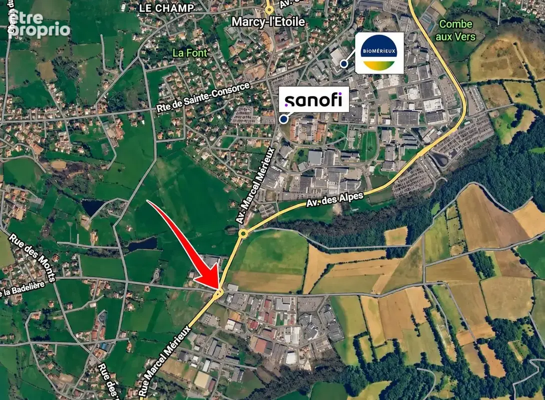 Photo Commerce à Sainte-Consorce au prix de 2 650 000€