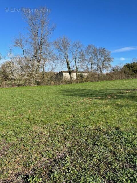 Terrain à MACQUEVILLE