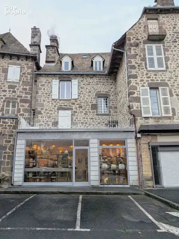 Immeuble VIC-SUR-CERE, 4 lots - photo 7