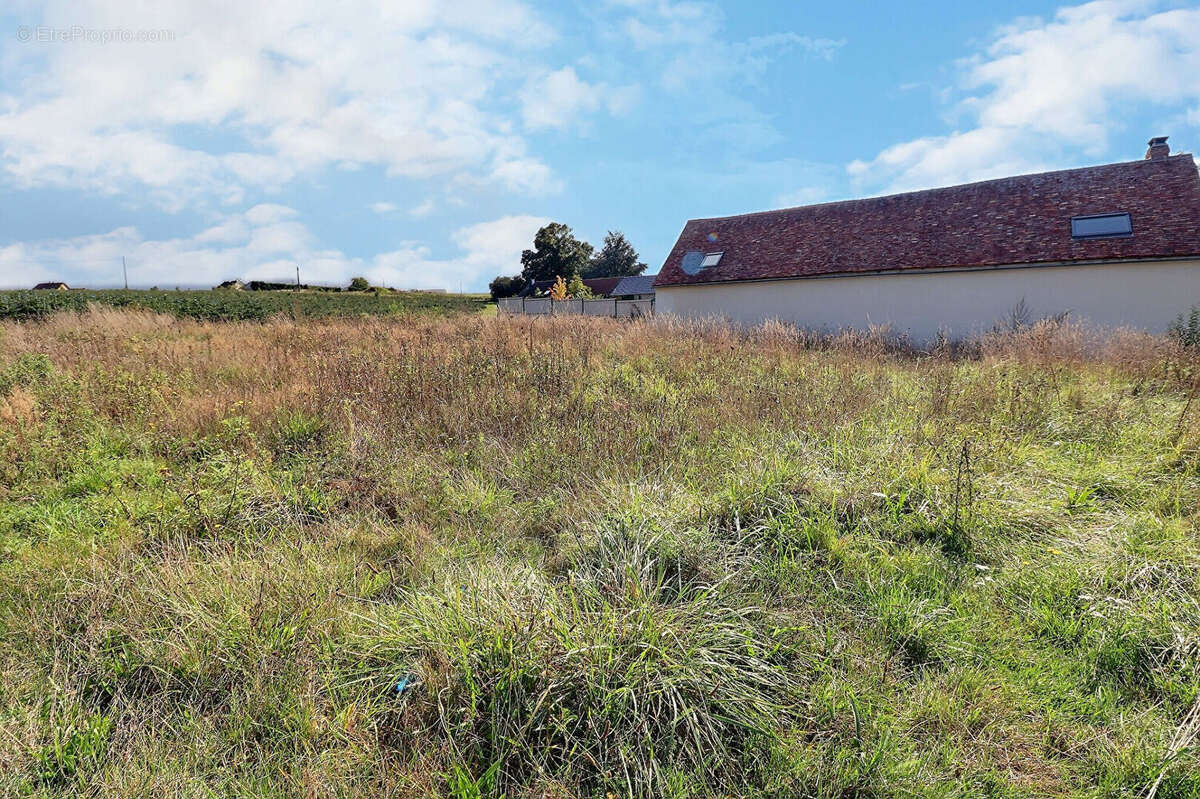 Terrain à HANCHES