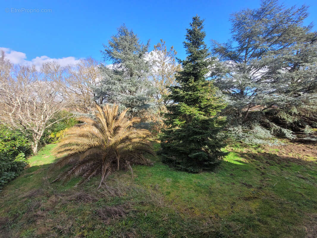 Maison à L'ISLE-JOURDAIN