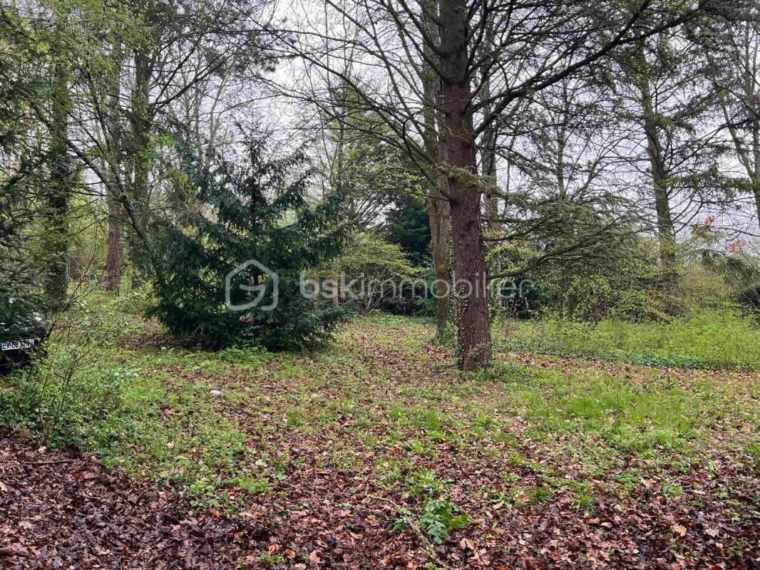 Terrain à MEREVILLE