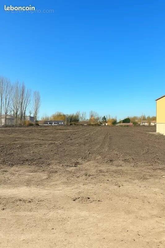 Terrain à DUNKERQUE