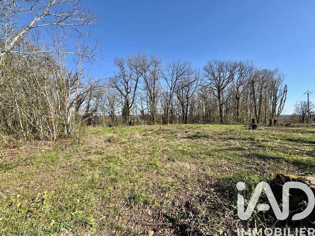 Terrain 7404 m² à Paulin  - photo 4