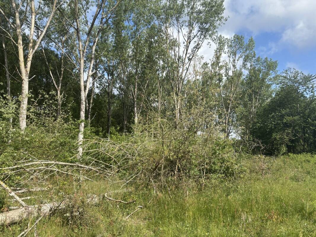 Terrain à BAUGE