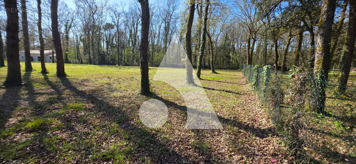 Terrain à LA TREMBLADE