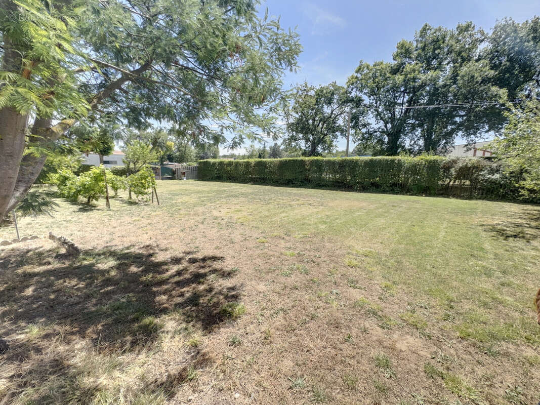Ensemble immobilier avec maison et local d'activité   Axe stratégique Castres / Toulouse - photo 15