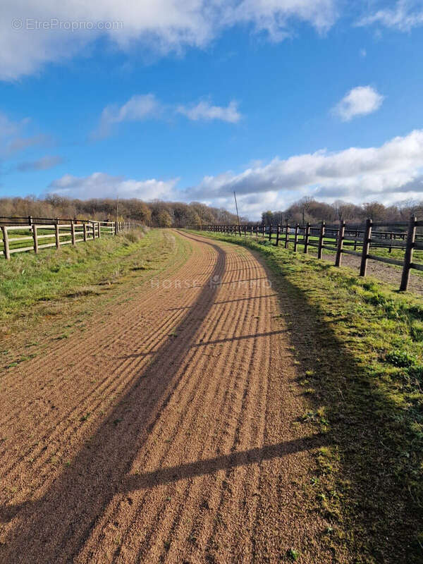 Maison à SAINT-GERMAIN-DE-LA-COUDRE