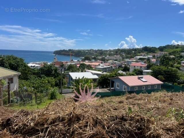 n°3 - Terrain à LE LORRAIN