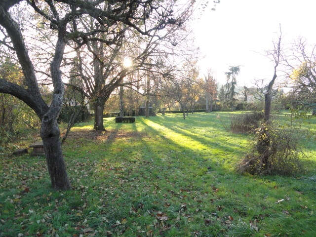 Superbe parcelle à batir viabilisee de 7,92 ares - photo 3