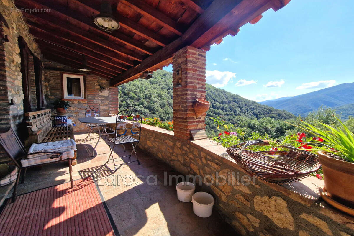 Maison 295 m² à Montbolo  - photo 5