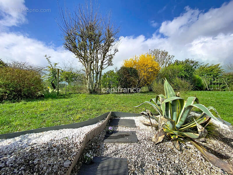 Maison à ROCHECORBON