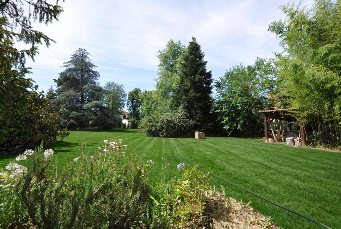 Maison de campagne dans parc arboré 3000 m². Moissieu sur Dolon 38270 - photo 6
