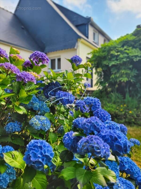 Maison à TREGUNC