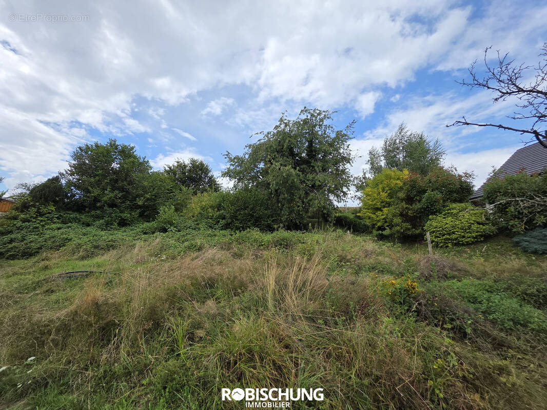 Terrain à HEIMERSDORF