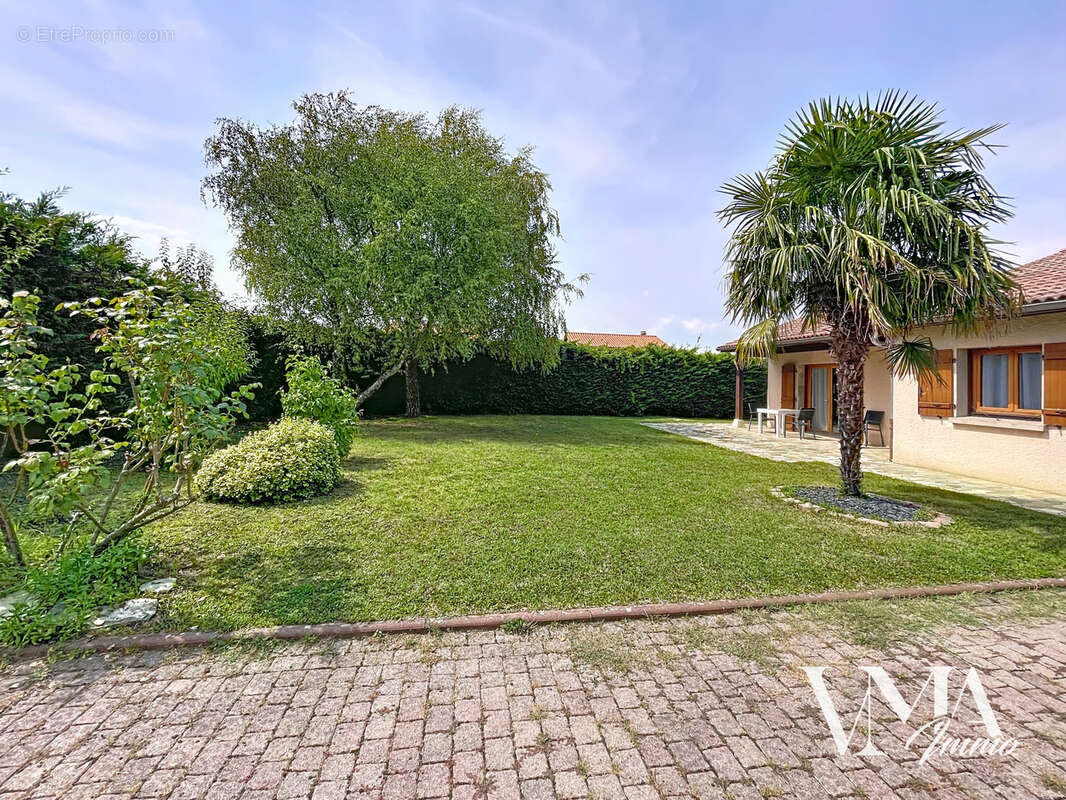 Maison à LISSIEU