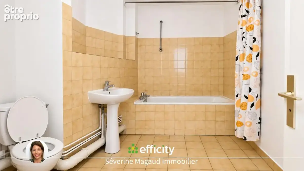 Appartement 21 pièces 457 m² à vendre à Tarare (69170) - photo 6