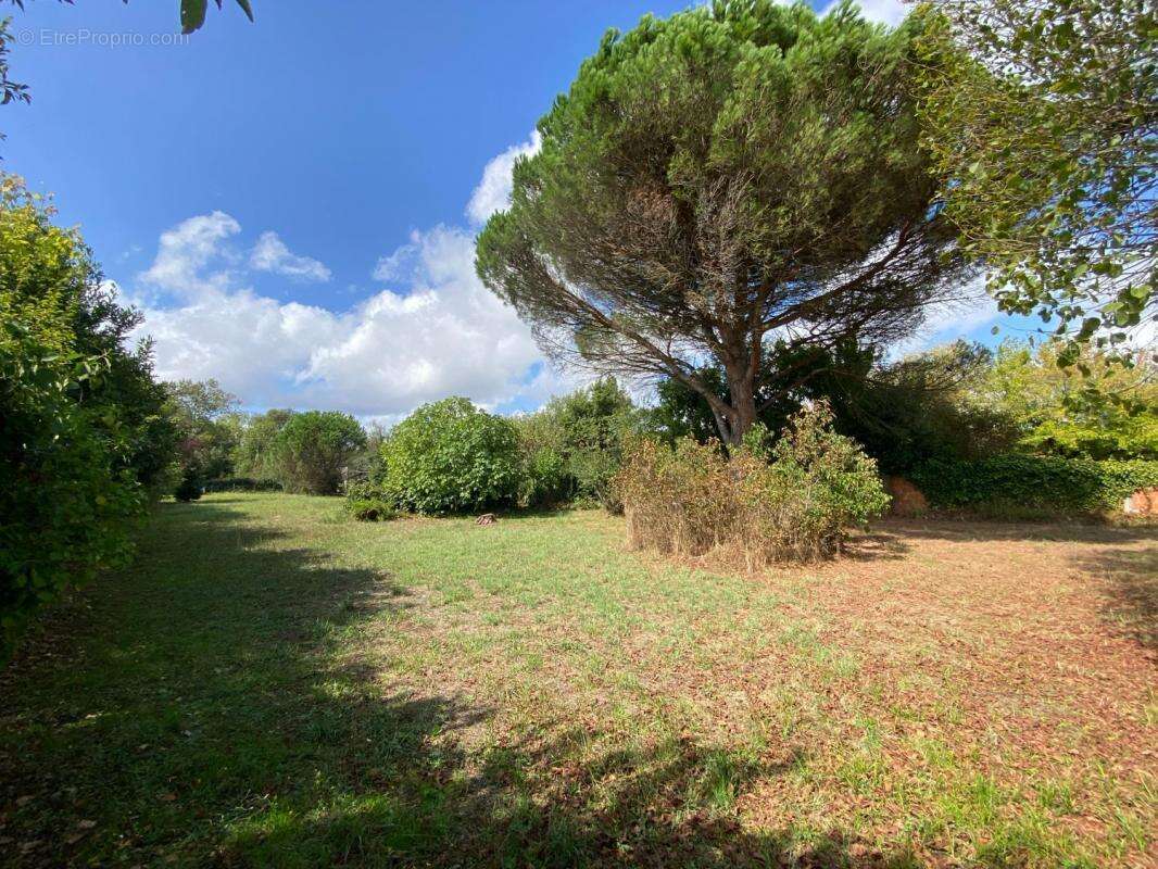 Maison À Vendre - photo 13
